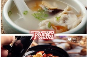 喂狗什么下奶最快？（探讨营养丰富的食物对犬只产奶的影响）