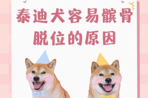 泰迪为什么被称为泰日天？（探寻泰迪犬的起源、特点和流行原因）