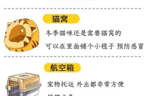 猫的繁殖需要准备什么？（为了顺利繁殖，你需要这些准备工作！）