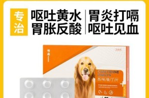 狗长期吐需要服用哪些药物？（探讨狗长期呕吐情况下的药物治疗方法及注意事项）