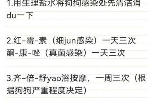 如何选择合适的药膏治疗狗狗真菌感染（选择药膏治疗狗狗真菌感染的重要性及指导）