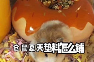 夏季消暑必备！仓鼠垫料选择完全指南（从材质到功能，为您盘点最适合仓鼠的夏季垫料）
