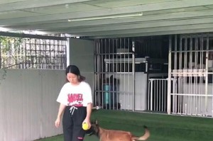 如何让狗长不大？（探索狗狗生长的秘密与方法）