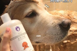 如何选择适合狗狗的沐浴露？（了解宠物皮肤的特点，选对合适的沐浴露是关键）