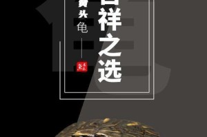 黄头龟与哪些鱼适合混养？（挑选合适伙伴，打造和谐水族箱）