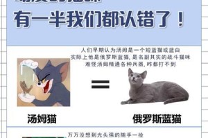 细数常见的14种猫咪（探秘各类猫咪品种的特点与魅力）