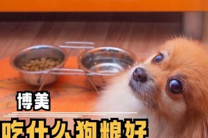 宠物狗的饮食需求——以2岁棕色泰迪为例（选择合适的狗粮是关键，保证宠物健康成长）