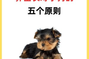 孕期是否适合养狗狗？（如何妥善安置小狗，保障孕妇和小狗的健康）