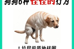 揭秘狗狗为何会吃草的5个原因（了解狗狗吃草的行为，避免误解）