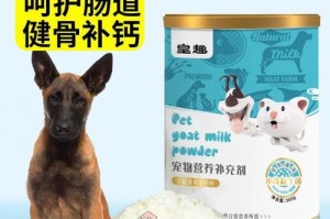 狗妈妈生完小狗后的适宜饮食（给新生小狗提供全面营养的关键饮食要素）
