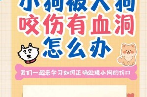 狗咬伤怎么处理伤口？（早期防护处理技巧）