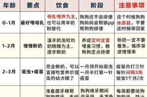 小奶狗的合理饮食习惯（三个月大的小奶狗需要什么食物及喂食次数）