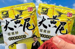 如何正确饲养黄尾斑点锯尾吊（以宠物为主，让你的小伙伴健康成长）