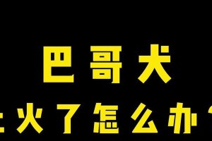 巴哥犬的饮食需求解析（为你的巴哥犬提供合适的食物是关键）