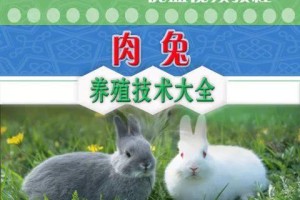 以塞北兔为宠物的饲养方法（营养饮食、生活环境、疾病预防）