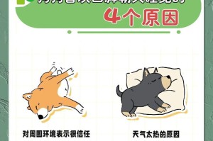 狗狗养不了十年的原因（探究狗狗寿命短暂的背后原因）