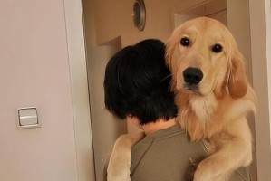 如何友善地接近陌生的狗狗？（10个提示让你成为狗狗的好朋友）