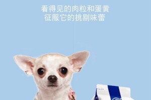 小鹿狗的主食——选择合适的狗粮（了解小鹿狗的饮食需求，为其提供营养均衡的狗粮）