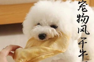 如何正确给泰迪犬清理耳朵（宠物犬的耳道健康保养）