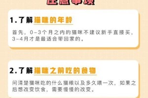 人猫共患病——预防养猫需知（人猫共患病的危害与预防措施）