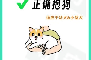 培养听话的狗狗，学会这6招（训练狗狗的关键技巧，让你的宠物更加亲密和合作）