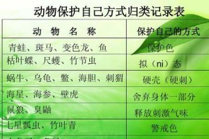 英种斑点兔的饲养方法（健康、安全、幸福的生活方式）