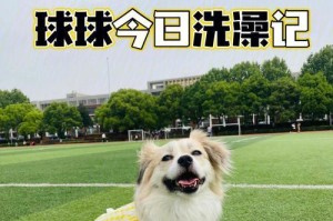 让你的宠物狗在夏天清凉无忧（怎样照顾你的狗狗，让它度过一个健康的夏天）