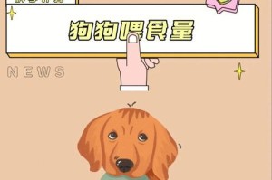 狗狗的饮食频率对排便有何影响？（了解狗狗饮食频率，关注排便情况，让它健康成长）