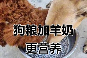狗狗喝羊奶能喝多久？（探究狗狗喝羊奶的适宜时间和注意事项）
