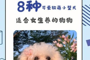 狗的体味大的原因及解决方法（探究为什么狗的体味大，以及如何有效减少狗的体味）
