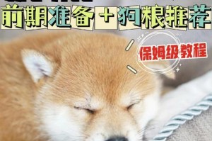 如何养好一只狗（以宠物为主，养狗前应做哪些准备？）