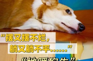狗狗配种后多久下崽的时间及注意事项（了解狗狗配种后的妊娠周期和孕期护理，让你成为贴心的养狗人）