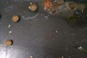 兔子屎的气味（探究兔子屎为何有独特气味，以及其可能的用途）