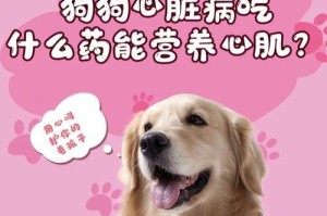 50天狗狗的药物需求（关注狗狗健康的主人必看）