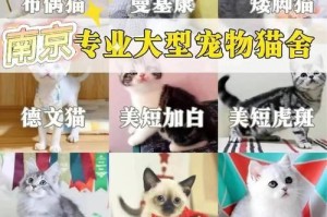 博美幼犬的食量掌握（以博美3个月吃多少狗粮为例）