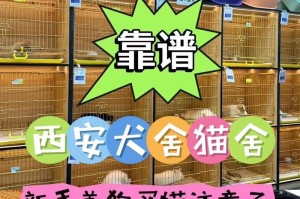 中国适合养哪些宠物？（宠物养殖的热门选择及养护要点）