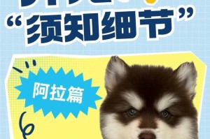 盘点8种放心乖巧的养狗首选品种（选择宠物犬时，要考虑这8种犬类的可靠性和温顺程度）