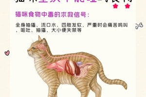 猫咪的饮食与用药注意事项（猫咪不宜食用的食物与常见药物）