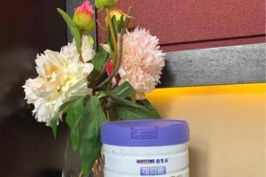 幼犬饮食指南（宠物狗幼犬的饮食需求和选择合适的婴儿奶粉）