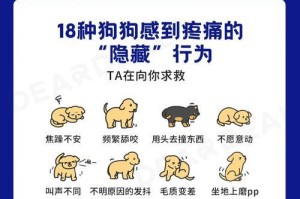 狗狗发烧并不一定就是生病了（体温过低更加危险——了解狗狗体温异常的重要性）
