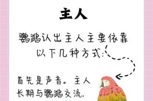 鹦鹉的语言能力和其价值（探索鹦鹉学说话的能力和价值观）