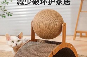 快乐的猫咪生活（猫咪玩具的重要性与选择技巧）