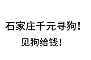 以500元的狗狗为伴，你可以拥有怎样的幸福生活？（解锁低价宠物市场的狗狗选择，品质与幸福并存）