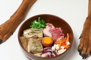 狗粮里的营养加强剂——蔬菜（丰富宠物狗的饮食，）