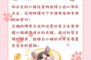 如何正确喂养小猫？（小猫的饮食需求与喂养技巧）