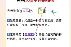 犬瘟热的症状及预防措施（详解犬感染犬瘟热的症状与治疗方法，提供预防措施及关键要点）