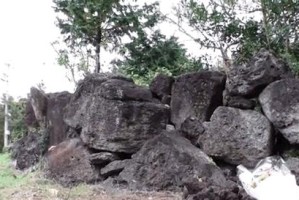 狗狗死亡之谜（一只狗狗生命的沉重承载和无尽怀念）