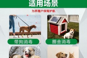 犬瘟后的消毒时间及注意事项（科学消毒有助于犬瘟防控）