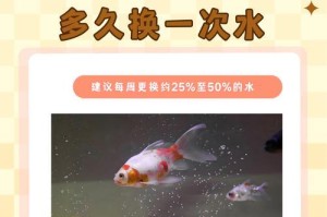 金鱼与植物的完美共生（打造清新水族馆，让金鱼与植物共舞）