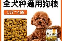 如何正确喂养泰迪幼犬狗粮（新手必读，健康宝贝从饮食开始）
